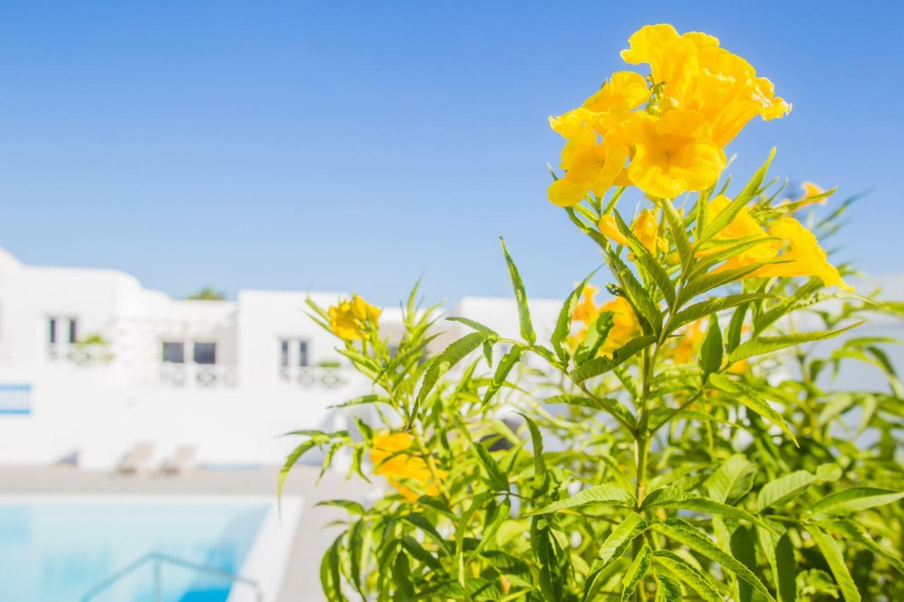 Flower Beach Suite 6 Playa Honda  Exteriör bild